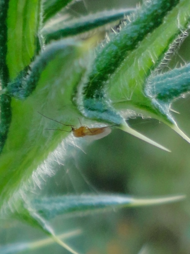 Captura de pantalla 2013-06-17 a la(s) 23.00.18