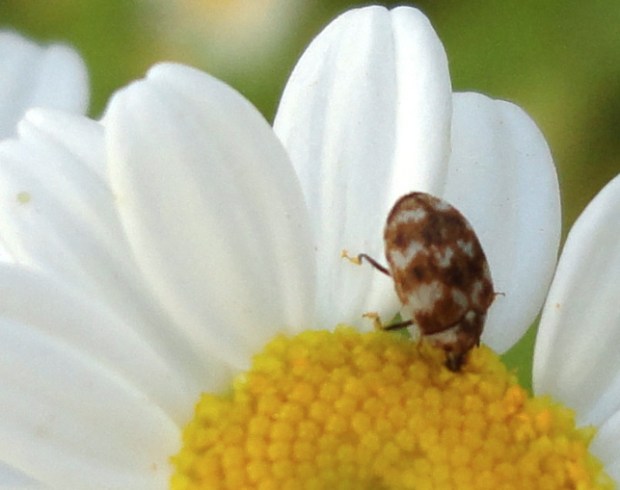 Captura de pantalla 2013-07-03 a la(s) 14.08.33